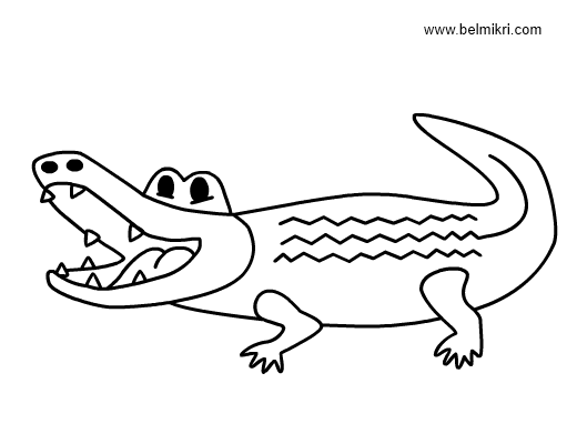 valentine coloring pages alligators - photo #17