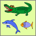 crocodile, dolphin, fish