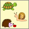 snail, turtle, hedgehog